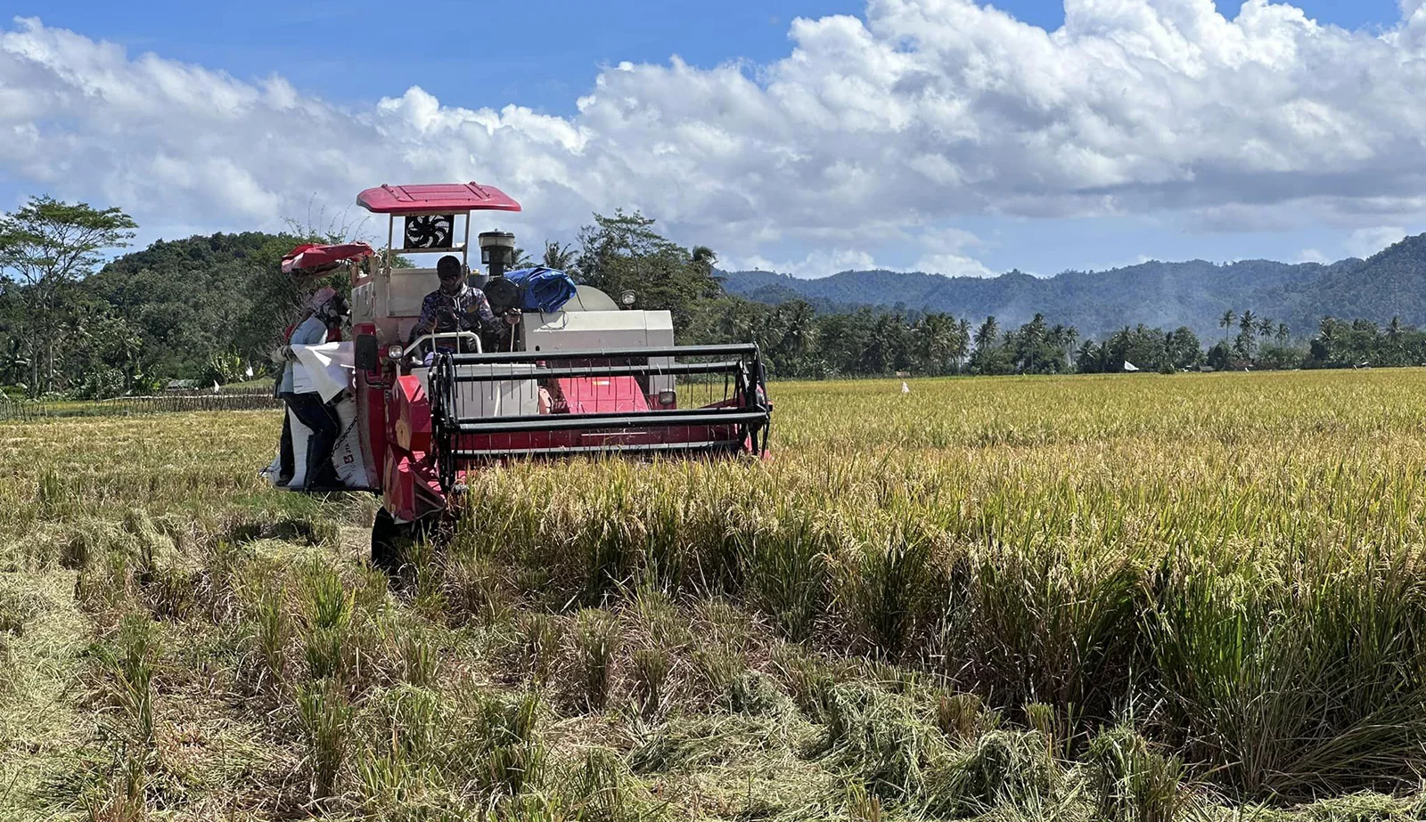 LOVOL RG108 plus combine harvester - Image 2