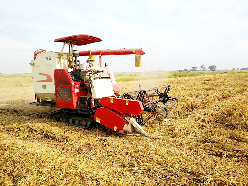 LOVOL AF88G Combine Harvester - Image 2